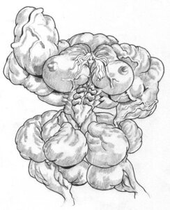 Rating: Explicit Score: 0 Tags: abs breasts extreme_muscles feenix501 female goddess large_breasts monochrome muscles muscular muscular_female no_bra no_panties nude oh_my_goddess! rule34 topless urd veins User: bunchy7s