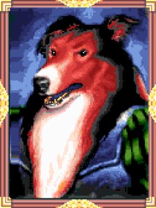 Rating: Safe Score: 0 Tags: 3:4 anthro armor black_eyes black_hair border border_collie canid canine canis collie digital_media_(artwork) domestic_dog e621 fur grandfathered_content hair half-length_portrait herding_dog king's_quest low_res male mammal official_art pastoral_dog picture_frame pixel_(artwork) portrait red_body red_fur saladin sheepdog sierra_entertainment solo unknown_artist white_border User: bunchy7s