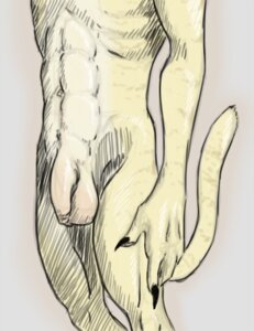 Rating: Explicit Score: 0 Tags: 2012 abs anthro balls claws e621 felid flaccid foreskin fur genitals humanoid_genitalia humanoid_penis hybrid liger lion lionsilverwolf long_foreskin male mammal pantherine penis simple_background sketch solo stripes tail tan_body tan_fur unretracted_foreskin User: bunchy7s Rating: Explicit Score: 0 Tags: 2012 abs anthro balls claws e621 felid flaccid foreskin fur genitals humanoid_genitalia humanoid_penis hybrid liger lion lionsilverwolf long_foreskin male mammal pantherine penis simple_background sketch solo stripes tail tan_body tan_fur unretracted_foreskin User: bunchy7s