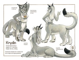 Rating: Safe Score: 0 Tags: 2009 anthro digitigrade dipstick_tail e621 english_text felid felid_taur feline feline_taur female kacey kryslin lynx lynx_taur mammal mammal_taur markings model_sheet nude pose quadruped side_view solo tail tail_markings taur text User: bunchy7s