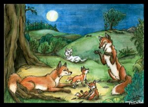 Rating: Explicit Score: 0 Tags: animal_genitalia arctic_fox canid canine conditional_dnp detailed_background e621 family female feral fox fully_sheathed genitals grass group male mammal moon nature night nonsexualized_young outside plant red_fox sheath sky tail tani_da_real tree true_fox wood young young_feral User: bunchy7s