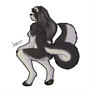 Rating: Questionable Score: 0 Tags: 1:1 anthro border_collie breasts canid canine canis clothed clothing collie domestic_dog e621 female herding_dog lorena_(artist) mammal nautilus_(character) nipples panties pastoral_dog sheepdog simple_background skimpy solo tail topless underwear white_background User: bunchy7s