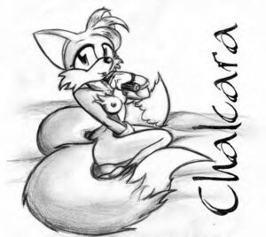 Rating: Explicit Score: 0 Tags: anthro black_nose breasts chalcara female female_only fox fur furry furry_breasts furry_ears furry_tail gloves greyscale looking_at_viewer looking_right monochrome multi_tail nude open_eyes pointy_ears rule34 rule_63 sega side_view sketch solo sonic_(series) tail tails tails_the_fox tailsko video_games User: bunchy7s