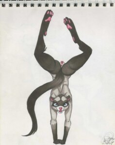 Rating: Explicit Score: 0 Tags: 4_toes absurd_res anthro anus blue_eyes digitigrade domestic_ferret e621 feet female genitals handstand hi_res malachi mammal marker_(artwork) mustelid musteline nude pawpads pink_pawpads simple_background soles solo tail toes traditional_media_(artwork) true_musteline vulva weasel white_background User: bunchy7s Rating: Explicit Score: 0 Tags: 4_toes absurd_res anthro anus blue_eyes digitigrade domestic_ferret e621 feet female genitals handstand hi_res malachi mammal marker_(artwork) mustelid musteline nude pawpads pink_pawpads simple_background soles solo tail toes traditional_media_(artwork) true_musteline vulva weasel white_background User: bunchy7s