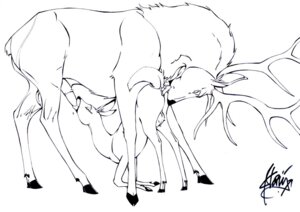 Rating: Explicit Score: 0 Tags: bambi_(film) deer disney faline female feral feral_on_feral furry klaus_doberman male monochrome penis rimming rule34 tagme the_great_prince_of_the_forest User: bunchy7s Rating: Explicit Score: 0 Tags: bambi_(film) deer disney faline female feral feral_on_feral furry klaus_doberman male monochrome penis rimming rule34 tagme the_great_prince_of_the_forest User: bunchy7s
