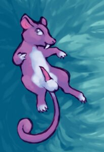 Rating: Explicit Score: 0 Tags: artist_request balls color feral fur lying male male_only nintendo nude on_back penis pok&eacute;mon_(species) pokemon pokemon_(species) rattata rule34 solo tagme testicles User: bunchy7s