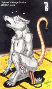 Rating: Explicit Score: 0 Tags: 2008 anal anal_insertion anthro ek_goya furry male male_only master_splinter master_splinter_(tmnt_2003) masturbation nunchaku object_in_ass object_insertion rat rodent rule34 signature straight_hair tagme tail teenage_mutant_ninja_turtles teenage_mutant_ninja_turtles_(2003) traditional_media_(artwork) weapon User: bunchy7s