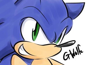 Rating: Safe Score: 0 Tags: 4:3 anthro blue_body blue_fur e621 eulipotyphlan fur g-wolfe green_eyes grin hedgehog male mammal sega side_mouth simple_background smile solo sonic_the_hedgehog sonic_the_hedgehog_(series) white_background User: bunchy7s