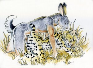 Rating: Explicit Score: 0 Tags: 2007 all_fours anthro anthro_on_anthro areola breasts brown_body brown_fur doggystyle dominant dominant_anthro dominant_male duo e621 erection felid feline female female_penetrated from_behind_position fur genitals grass grey_body grey_fur heather_bruton interspecies lagomorph leporid male male/female male_penetrating male_penetrating_female mammal markings medium_breasts multicolored_body multicolored_fur nipples nude open_mouth penetration penile penile_penetration penis penis_in_vagina plant predator/prey predator_penetrated prey_dom_predator_sub prey_penetrating prey_penetrating_predator rabbit serval sex side_boob simple_background spots spotted_body spotted_fur submissive submissive_anthro submissive_female tail traditional_media_(artwork) vaginal vaginal_penetration vulva white_background white_body white_fur yellow_body yellow_fur User: bunchy7s