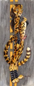 Rating: Explicit Score: 0 Tags: 2004 animal_genitalia anthro balls biped brown_hair caribou_(artist) cheetah claws clothing colored e621 erection felid feline genitals gloves hair handwear humanoid_genitalia humanoid_penis king_cheetah long_hair looking_at_viewer male mammal nude penis ponytail questionable_perspective sheath solo tail whiskers yellow_eyes User: bunchy7s