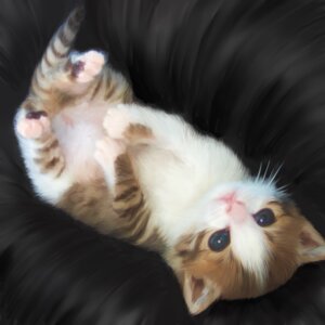 Rating: Safe Score: 0 Tags: 1:1 2009 :< bedding bedding_background blue_eyes brown_body brown_fur closed_frown daww digitigrade domestic_cat e621 extended_arms feet felid feline felis feral frown fur fur_markings hands_together hindpaw legs_in_air legs_up looking_at_viewer lying male mammal markings mouth_closed multicolored_body multicolored_fur on_back oomichitoro painting_(object) pawpads paws photorealism pink_nose quadruped realistic solo stripes tabby_cat tail white_body white_fur wishbone_mouth young young_feral young_male User: bunchy7s Rating: Safe Score: 0 Tags: 1:1 2009 :< bedding bedding_background blue_eyes brown_body brown_fur closed_frown daww digitigrade domestic_cat e621 extended_arms feet felid feline felis feral frown fur fur_markings hands_together hindpaw legs_in_air legs_up looking_at_viewer lying male mammal markings mouth_closed multicolored_body multicolored_fur on_back oomichitoro painting_(object) pawpads paws photorealism pink_nose quadruped realistic solo stripes tabby_cat tail white_body white_fur wishbone_mouth young young_feral young_male User: bunchy7s