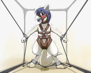 Rating: Explicit Score: 0 Tags: 5:4 advancea_(fadingsky) ball_gag bdsm blue_hair blush bodily_fluids bound chain dragon drooling e621 fadingsky feral fur furred_dragon furred_scalie gag gagged genital_fluids hair harness looking_at_viewer male mythological_creature mythological_scalie mythology omorashi peeing saliva scalie shaking solo submissive submissive_male tail trembling urine wetting User: bunchy7s Rating: Explicit Score: 0 Tags: 5:4 advancea_(fadingsky) ball_gag bdsm blue_hair blush bodily_fluids bound chain dragon drooling e621 fadingsky feral fur furred_dragon furred_scalie gag gagged genital_fluids hair harness looking_at_viewer male mythological_creature mythological_scalie mythology omorashi peeing saliva scalie shaking solo submissive submissive_male tail trembling urine wetting User: bunchy7s