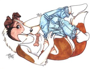 Rating: Questionable Score: 0 Tags: 2004 absurd_res anthro bottomwear canid canine canis clothing collie domestic_dog e621 female footwear herding_dog hi_res legwear looking_at_viewer mammal pants pastoral_dog pinup pose rough_collie sheepdog signature socks solo tail terrie_smith traditional_media_(artwork) undressing User: bunchy7s