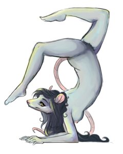 Rating: Questionable Score: 0 Tags: 2011 4:5 amber_eyes anthro arched_back arm_support biped black_hair breasts buckteeth e621 elbow_stand feet female flexible fur grey_body grey_fur hair long_hair looking_at_viewer mammal murid murine nipples nude pink_nose pubes rat rodent side_boob simple_background solo starlie tail teeth white_background User: bunchy7s Rating: Questionable Score: 0 Tags: 2011 4:5 amber_eyes anthro arched_back arm_support biped black_hair breasts buckteeth e621 elbow_stand feet female flexible fur grey_body grey_fur hair long_hair looking_at_viewer mammal murid murine nipples nude pink_nose pubes rat rodent side_boob simple_background solo starlie tail teeth white_background User: bunchy7s