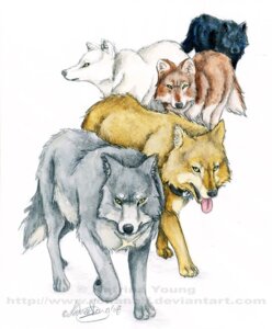 Rating: Safe Score: 0 Tags: blue_(wolf's_rain) canid canine canis domestic_dog e621 feral group hige_(wolf's_rain) hybrid kiba_(wolf's_rain) male mammal rohanelf toboe_(wolf's_rain) tsume_(wolf's_rain) wolf wolf's_rain User: bunchy7s