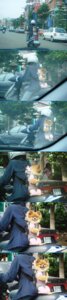 Rating: Safe Score: 0 Tags: :d ambiguous_gender canid canine canis domestic_dog domestic_pet e621 grandfathered_content group hi_res human long_image mammal reaction_image real scooter smile solo_focus tall_image unknown_artist User: bunchy7s