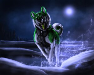 Rating: Safe Score: 0 Tags: 5:4 ambiguous_gender amorpheusart canid canine detailed detailed_background e621 fangs feral fur green_body green_fur green_tongue hi_res light mammal moon moonlight nature night open_mouth orphic outside plant running sky snow solo splash teeth tongue tree water white_body white_fur User: bunchy7s Rating: Safe Score: 0 Tags: 5:4 ambiguous_gender amorpheusart canid canine detailed detailed_background e621 fangs feral fur green_body green_fur green_tongue hi_res light mammal moon moonlight nature night open_mouth orphic outside plant running sky snow solo splash teeth tongue tree water white_body white_fur User: bunchy7s
