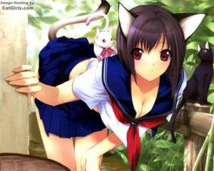 Rating: Questionable Score: 0 Tags: 5:4 5_fingers animal_humanoid asian_clothing bent_over black_body black_fur bottomwear breasts brown_body brown_fur cat_humanoid cleavage clothed clothing digital_media_(artwork) domestic_cat e621 east_asian_clothing felid felid_humanoid feline feline_humanoid felis female fence feral fingers fully_clothed fur group hair hand_on_leg humanoid humanoid_hands japanese_clothing japanese_school_uniform looking_aside looking_at_another looking_at_viewer low_res mammal mammal_humanoid midriff nude purple_hair raised_tail red_eyes ribbons school_uniform serafuku shirt sitting size_difference skirt solo_focus tail tan_body tan_skin third-party_edit topwear uniform unknown_artist whiskers white_body white_fur User: bunchy7s Rating: Questionable Score: 0 Tags: 5:4 5_fingers animal_humanoid asian_clothing bent_over black_body black_fur bottomwear breasts brown_body brown_fur cat_humanoid cleavage clothed clothing digital_media_(artwork) domestic_cat e621 east_asian_clothing felid felid_humanoid feline feline_humanoid felis female fence feral fingers fully_clothed fur group hair hand_on_leg humanoid humanoid_hands japanese_clothing japanese_school_uniform looking_aside looking_at_another looking_at_viewer low_res mammal mammal_humanoid midriff nude purple_hair raised_tail red_eyes ribbons school_uniform serafuku shirt sitting size_difference skirt solo_focus tail tan_body tan_skin third-party_edit topwear uniform unknown_artist whiskers white_body white_fur User: bunchy7s