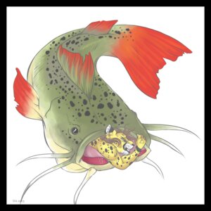 Rating: Questionable Score: 0 Tags: 1:1 2013 ambiguous_gender aquatic black_border black_nose blue_eyes border brown_hair catfish cheetah duo e621 felid feline feral fish gumbo-nose hair kibacheetah mammal oral simple_background size_difference vore white_background User: bunchy7s