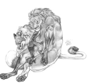Rating: Explicit Score: 0 Tags: 2009 anal anal_penetration animal_genitalia animal_penis anthro balls blotch canid canine canine_genitalia canine_penis claws duo e621 feet felid flaccid fluffy fluffy_tail fox fully_sheathed fur genitals graphite_(artwork) greyscale hindpaw interspecies lion male male/male male_penetrated male_penetrating male_penetrating_male mammal mane monochrome nude open_mouth pantherine pawpads paws penetration penis penis_tip red_fox scratches_volume_3 sex sheath sheathed_while_penetrated simple_background sitting sketch spread_legs spreading tail tail_tuft tongue traditional_media_(artwork) true_fox tuft whiskers white_background User: bunchy7s Rating: Explicit Score: 0 Tags: 2009 anal anal_penetration animal_genitalia animal_penis anthro balls blotch canid canine canine_genitalia canine_penis claws duo e621 feet felid flaccid fluffy fluffy_tail fox fully_sheathed fur genitals graphite_(artwork) greyscale hindpaw interspecies lion male male/male male_penetrated male_penetrating male_penetrating_male mammal mane monochrome nude open_mouth pantherine pawpads paws penetration penis penis_tip red_fox scratches_volume_3 sex sheath sheathed_while_penetrated simple_background sitting sketch spread_legs spreading tail tail_tuft tongue traditional_media_(artwork) true_fox tuft whiskers white_background User: bunchy7s