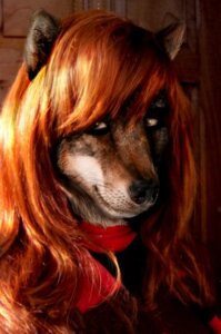 Rating: Safe Score: 0 Tags: anthro canid canine canis e621 female hair low_res mammal photo_manipulation photomorph pspynett red_hair solo third-party_edit wolf User: bunchy7s