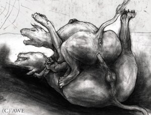 Rating: Explicit Score: 0 Tags: anus awe backsack balls cu_dish duo e621 erection eyes_closed female female_penetrated feral feral_on_feral genitals greyscale lying male male/female male_penetrating male_penetrating_female monochrome nude on_back penetration penile penile_penetration penis penis_in_vagina raised_tail sex tail unknown_species vaginal vaginal_penetration vulva User: bunchy7s