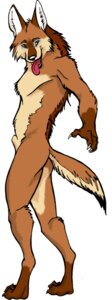 Rating: Explicit Score: 0 Tags: 2003 animal_genitalia anthro biped brown_body brown_fur canid canine canis claws coyote e621 fully_sheathed fur genitals looking_at_viewer male mammal sheath simple_background solo standing tanglefoot tongue tongue_out User: bunchy7s