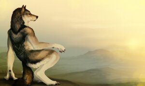 Rating: Safe Score: 0 Tags: 2009 ambiguous_gender anthro black_body black_fur black_lips black_nose canid canine canis claws crouching dark_body dark_fur detailed detailed_background digitigrade e621 feet fog fur guarding handpaw hi_res hindpaw inner_ear_fluff landscape lips long_mouth mammal no_sclera outcrop outside pawpads paws realistic sentry sky snout solo sullivan sunrise tail tuft waiting wallpaper white_body white_claws white_fur widescreen wolf User: bunchy7s