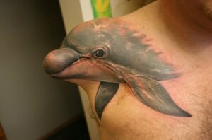 Rating: Questionable Score: 0 Tags: amputee aquatic body_hair cetacean chest_hair disability dolphin e621 feral grandfathered_content human male mammal military oceanic_dolphin real soldier solo tattoo tattoo_(artwork) toothed_whale unknown_artist warrior User: bunchy7s Rating: Questionable Score: 0 Tags: amputee aquatic body_hair cetacean chest_hair disability dolphin e621 feral grandfathered_content human male mammal military oceanic_dolphin real soldier solo tattoo tattoo_(artwork) toothed_whale unknown_artist warrior User: bunchy7s