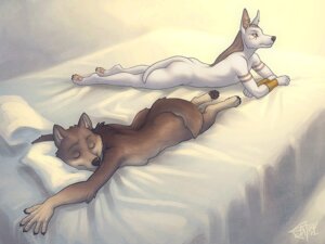 Rating: Questionable Score: 0 Tags: 2012 4:3 anthro anubian_jackal bed breasts canid canine canis duo e621 eyes_closed female fur furniture jackal lying male mammal merystic on_bed on_front side_boob sleeping tail wepwawet white_body white_fur wolf User: bunchy7s