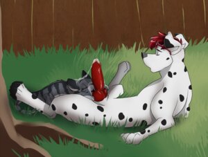 Rating: Explicit Score: 0 Tags: ambiguous_gender anatomically_correct animal_genitalia animal_penis bodily_fluids canid canine canine_genitalia canine_penis canis cobalt_(cobaltdawg) cum cum_string dalmatian digital_media_(artwork) domestic_cat domestic_dog duo e621 erection eyes_closed eyewear felid feline felis fence feral feral_on_feral fur genital_fluids genitals grass interspecies jailbird knot licking lying male male/ambiguous mammal on_back oral penile penis penis_lick plant reclining sex shaded sunglasses swiftstep_(near) tail thick_penis tongue tongue_out tree wood User: bunchy7s Rating: Explicit Score: 0 Tags: ambiguous_gender anatomically_correct animal_genitalia animal_penis bodily_fluids canid canine canine_genitalia canine_penis canis cobalt_(cobaltdawg) cum cum_string dalmatian digital_media_(artwork) domestic_cat domestic_dog duo e621 erection eyes_closed eyewear felid feline felis fence feral feral_on_feral fur genital_fluids genitals grass interspecies jailbird knot licking lying male male/ambiguous mammal on_back oral penile penis penis_lick plant reclining sex shaded sunglasses swiftstep_(near) tail thick_penis tongue tongue_out tree wood User: bunchy7s