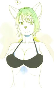 Rating: Safe Score: 0 Tags: anthro big_breasts bra breasts canid canine canis clothing domestic_dog e621 female green_eyes green_hair hair half-length_portrait hi_res looking_at_viewer mammal portrait sindoll solo underwear User: bunchy7s