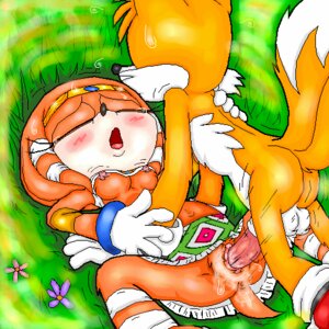 Rating: Explicit Score: 0 Tags: 1boy 1girls 2d 9_(artist) anthro ass balls canine clothing echidna exposed_torso female footwear fox fur furry_tail grass handwear interspecies male mammal miles_tails_prower mobian mobian_(species) mobian_echidna monotreme multi_tail nude penis pussy rule34 sega sex sonic_(series) sonic_adventure sonic_the_hedgehog_(series) straight straight_hair tagme tail tails tails_the_fox tikal_the_echidna User: bunchy7s