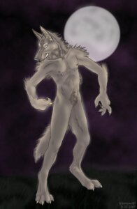 Rating: Questionable Score: 0 Tags: 2007 anthro canid canine canis crotch_tuft e621 fur hormone_replacement_therapy inframammary_scar male mammal mastectomy_scar moon mythological_canine mythological_creature mythology nipples pubes scar simple_background solo syringe tail testosterone trannywolf trans_(lore) trans_man_(lore) tuft visibly_trans werecanid werecanine werecreature werewolf wolf User: bunchy7s