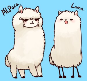 Rating: Safe Score: 0 Tags: :3 alpaca ambiguous_gender blue_background camelid daww duo e621 feral fur huiro llama llamama mammal meme simple_background the_more_you_know toony white_body white_fur User: bunchy7s Rating: Safe Score: 0 Tags: :3 alpaca ambiguous_gender blue_background camelid daww duo e621 feral fur huiro llama llamama mammal meme simple_background the_more_you_know toony white_body white_fur User: bunchy7s