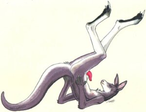 Rating: Explicit Score: 0 Tags: 2006 3_toes animal_genitalia animal_penis anthro balls balls_above_penis biped claws e621 erection feet fur genitals grey_body grey_fur kangaroo legs_up long_ears lying macropod male mammal marsupial marsupial_penis nipples nude on_back penis side_view simple_background solo tail tapering_penis toes uaykan white_background white_body white_fur User: bunchy7s