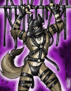 Rating: Explicit Score: 0 Tags: anthro bdsm bondage bound canid canine clothing e621 g-string gimp_mask jax_the_bat latex male mammal mask muzzle_(object) muzzled solo submissive submissive_male tail underwear User: bunchy7s Rating: Explicit Score: 0 Tags: anthro bdsm bondage bound canid canine clothing e621 g-string gimp_mask jax_the_bat latex male mammal mask muzzle_(object) muzzled solo submissive submissive_male tail underwear User: bunchy7s