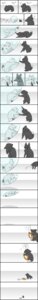 Rating: Safe Score: 0 Tags: absurd_res ambiguous_gender ball basic_sequence bubble canid canine duo e621 exclamation_point feral fox fur grey_body grey_fur hi_res humor interrobang linear_sequence long_image mammal multi_frame_sequence question_mark scissors sequence tail tall_image tongue tongue_out unknown_artist white_body white_fur User: bunchy7s