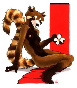 Rating: Questionable Score: 0 Tags: 2001 ailurid anthro belly black_nose breasts brown_belly brown_body brown_eyes brown_fur brown_inner_ear_fluff countershading e621 female flower fluffy fluffy_tail full-length_portrait fur gloves_(marking) holding_object inner_ear_fluff leg_markings mammal marker_(artwork) markings multicolored_body multicolored_fur navel nipples nude oce pink_nipples plant portrait pose red_panda reverse_countershading ring_(marking) ringed_tail seductive shaded simple_background small_breasts smile socks_(marking) solo striped_markings striped_tail stripes tail tail_markings traditional_media_(artwork) tuft white_background white_body white_fur User: bunchy7s Rating: Questionable Score: 0 Tags: 2001 ailurid anthro belly black_nose breasts brown_belly brown_body brown_eyes brown_fur brown_inner_ear_fluff countershading e621 female flower fluffy fluffy_tail full-length_portrait fur gloves_(marking) holding_object inner_ear_fluff leg_markings mammal marker_(artwork) markings multicolored_body multicolored_fur navel nipples nude oce pink_nipples plant portrait pose red_panda reverse_countershading ring_(marking) ringed_tail seductive shaded simple_background small_breasts smile socks_(marking) solo striped_markings striped_tail stripes tail tail_markings traditional_media_(artwork) tuft white_background white_body white_fur User: bunchy7s