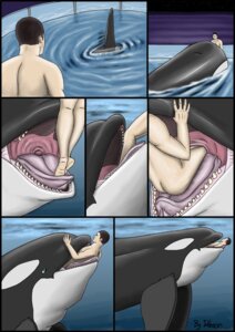 Rating: Questionable Score: 0 Tags: aquatic body_in_mouth cetacean comic digital_media_(artwork) dolorcin dolphin duo e621 feet_first feral feral_pred hi_res human male mammal nude oceanic_dolphin oral_vore orca partially_submerged sequence size_difference swallowing tongue toothed_whale underwater vore water willing_prey User: bunchy7s Rating: Questionable Score: 0 Tags: aquatic body_in_mouth cetacean comic digital_media_(artwork) dolorcin dolphin duo e621 feet_first feral feral_pred hi_res human male mammal nude oceanic_dolphin oral_vore orca partially_submerged sequence size_difference swallowing tongue toothed_whale underwater vore water willing_prey User: bunchy7s