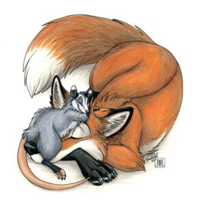 Rating: Safe Score: 0 Tags: 2011 ambiguous_gender american_opossum canid canine conditional_dnp dipstick_tail duo e621 eyes_closed feral fox mammal markings marsupial red_fox simple_background sleeping tail tail_markings tani_da_real true_fox virginia_opossum white_background User: bunchy7s Rating: Safe Score: 0 Tags: 2011 ambiguous_gender american_opossum canid canine conditional_dnp dipstick_tail duo e621 eyes_closed feral fox mammal markings marsupial red_fox simple_background sleeping tail tail_markings tani_da_real true_fox virginia_opossum white_background User: bunchy7s