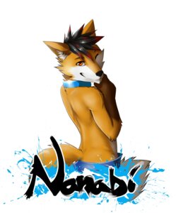 Rating: Safe Score: 0 Tags: absurd_res anthro canid canine character_badge_(artwork) collar e621 fox hi_res male mammal nanabi_ashiro one_eye_closed shynjy solo wink User: bunchy7s Rating: Safe Score: 0 Tags: absurd_res anthro canid canine character_badge_(artwork) collar e621 fox hi_res male mammal nanabi_ashiro one_eye_closed shynjy solo wink User: bunchy7s