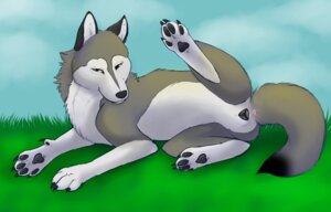Rating: Explicit Score: 0 Tags: anatomically_correct anatomically_correct_genitalia anatomically_correct_vulva animal_genitalia animal_vulva anus bedroom_eyes canid canine canine_genitalia canine_vulva canis e621 feet female feral fur genitals half-closed_eyes hindpaw independence_(paper-wings) mammal narrowed_eyes paper-wings paws quadruped raised_leg seductive solo tail vulva wolf User: bunchy7s