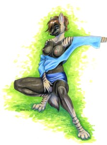 Rating: Explicit Score: 0 Tags: 2005 5_fingers aardwolf anthro ayame_emaya black_body black_fur bottomwear breasts brown_hair clothed clothing clothing_lift crouching e621 female fingering fingering_self fingers fur hair hyena mammal masturbation nipples paws sachiko simple_background skirt skirt_lift smile solo striped_body stripes tail tan_body tan_fur vaginal vaginal_masturbation User: bunchy7s