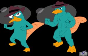 Rating: Explicit Score: 0 Tags: animal_genitalia anthro balls biped clothing disney e621 fedora feet fighting_pose flaccid fur genitals hat headgear headwear looking_at_viewer male mammal membrane_(anatomy) monotreme muscular muscular_anthro muscular_male penis perry_the_platypus phineas_and_ferb platypus pose sheath solo source_request standing stylized tail teal_body teal_fur toes webbed_feet wolfblade User: bunchy7s Rating: Explicit Score: 0 Tags: animal_genitalia anthro balls biped clothing disney e621 fedora feet fighting_pose flaccid fur genitals hat headgear headwear looking_at_viewer male mammal membrane_(anatomy) monotreme muscular muscular_anthro muscular_male penis perry_the_platypus phineas_and_ferb platypus pose sheath solo source_request standing stylized tail teal_body teal_fur toes webbed_feet wolfblade User: bunchy7s