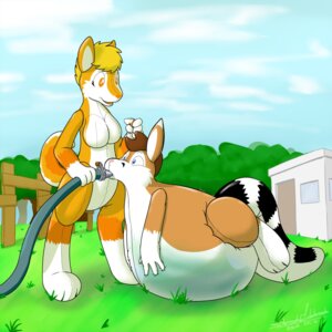 Rating: Questionable Score: 0 Tags: 1:1 animate_inanimate anthro canid canine canis cloud countershading domestic_dog duo e621 female fence hi_res hose hose_inflation husky inflatable inflation liquid_inflation living_inflatable lying lying_on_self mammal nordic_sled_dog orange_eyes outside pool_toy rawr_(artist) resting_on_belly sky spitz stripes tail water water_inflation User: bunchy7s
