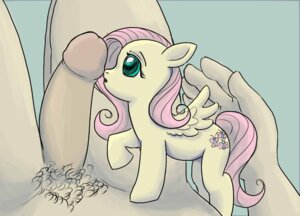 Rating: Explicit Score: 0 Tags: bestiality duo e621 equid equine erection feathered_wings feathers female female_focus female_on_human feral fluttershy_(mlp) friendship_is_magic genitals hasbro human human_on_feral humanoid_genitalia humanoid_penis interspecies male male/female male_on_feral mammal micro mishatherat my_little_pony mythological_creature mythological_equine mythology pegasus penis solo_focus wings yellow_body yellow_feathers User: bunchy7s