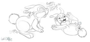 Rating: Explicit Score: 0 Tags: anus balls bambi_(film) cub disney feral looqdrake male male_only monochrome penis rabbit rule34 tagme testicles thumper User: bunchy7s