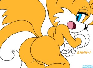 Rating: Explicit Score: 0 Tags: anthro backsack balls big_butt biped blue_eyes butt canid canine e621 english_text fox genitals habbodude hair looking_back male mammal michiyoshi miles_prower multi_tail nude open_mouth orange_hair sega shota solo sonic_the_hedgehog_(series) tail text young User: bunchy7s Rating: Explicit Score: 0 Tags: anthro backsack balls big_butt biped blue_eyes butt canid canine e621 english_text fox genitals habbodude hair looking_back male mammal michiyoshi miles_prower multi_tail nude open_mouth orange_hair sega shota solo sonic_the_hedgehog_(series) tail text young User: bunchy7s
