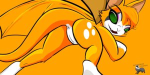Rating: Explicit Score: 0 Tags: 2:1 anus bat butt dust:_an_elysian_tail e621 empty_eyes fangs fatbadgerstudios female feral fidget_(elysian_tail) fur genitals gloves_(marking) green_eyes humanoid_genitalia humanoid_vulva leg_markings looking_at_viewer looking_back mammal markings membrane_(anatomy) membranous_wings nimbat no_sclera nude open_mouth orange_background orange_body orange_fur orange_theme presenting presenting_hindquarters simple_background socks_(marking) solo teeth toony vulva wings User: bunchy7s